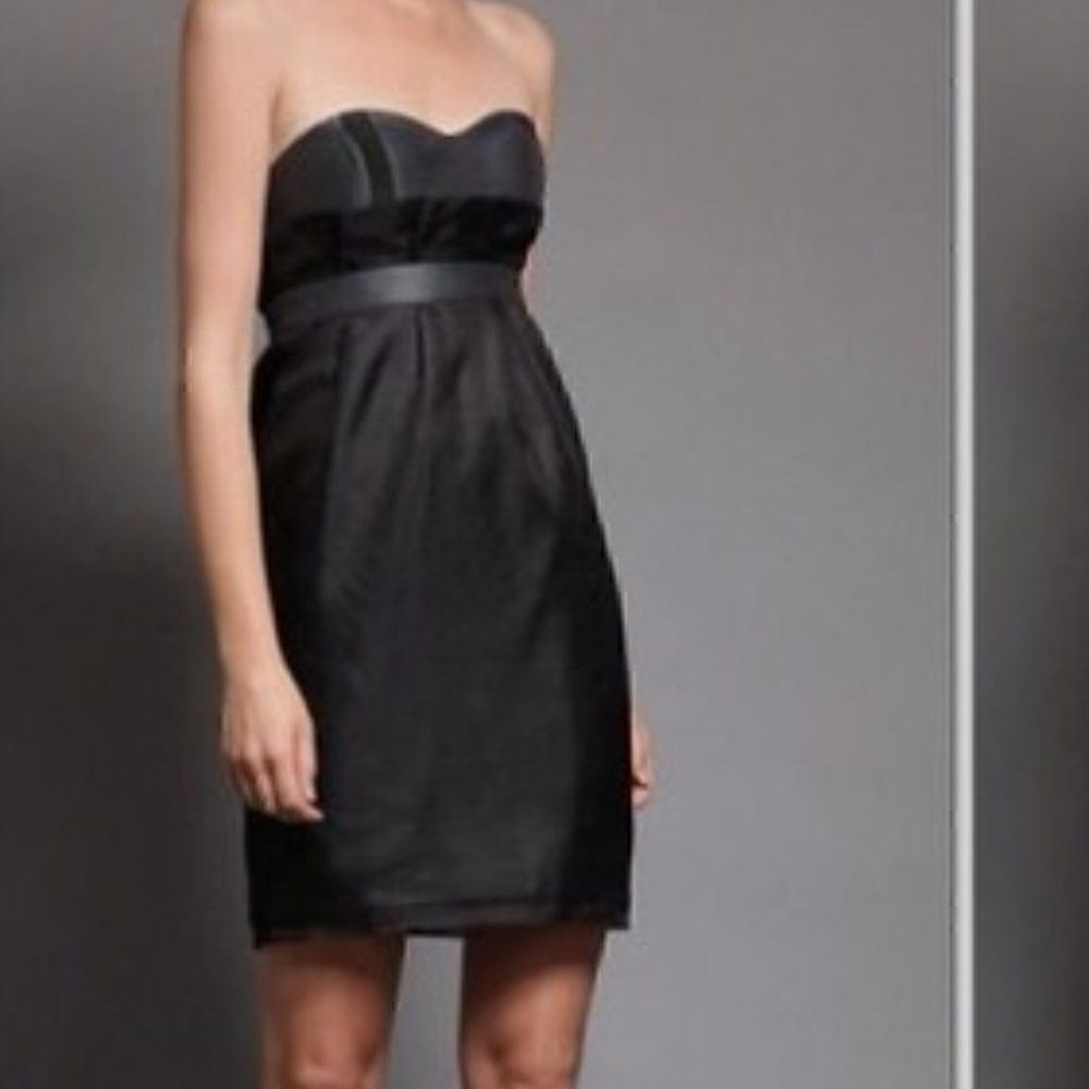 Shipley & Halmos Bustier Silk Organza Gray Black Strapless Party Dress 4